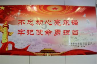 森林的奇迹